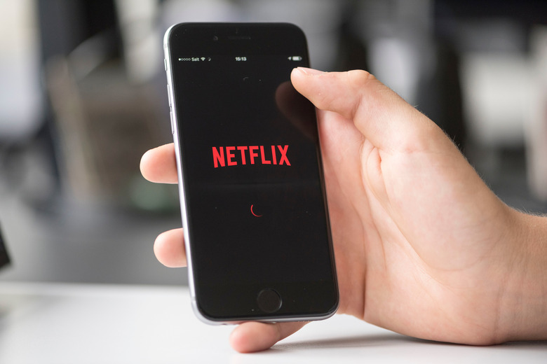 netflix app sign