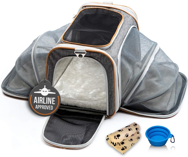 Best Airline Approved Pet Carrier