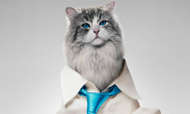 nine-lives-kevin-spacey