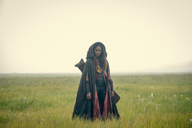 The Witcher: Blood Origin on Netflix