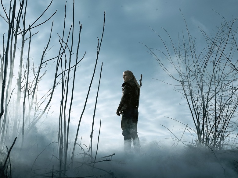 the witcher
