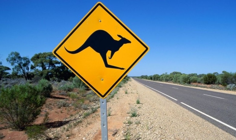 8760_australia_street_kangaroo_sign