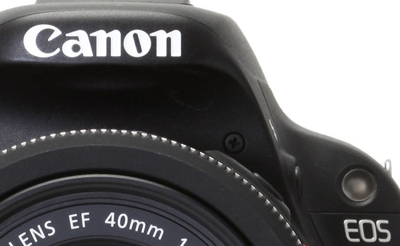 canon 250 megapixel sensor