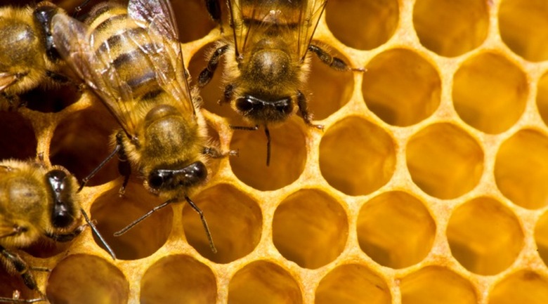 Honeycomb