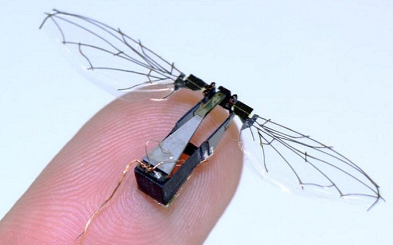 harvard robobee