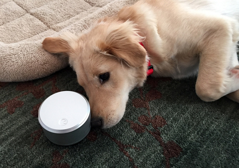 oliver-august-smart-lock