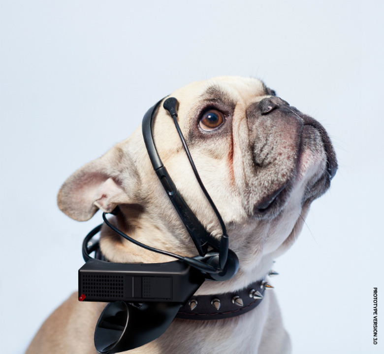 no-more-woof-prototype-1