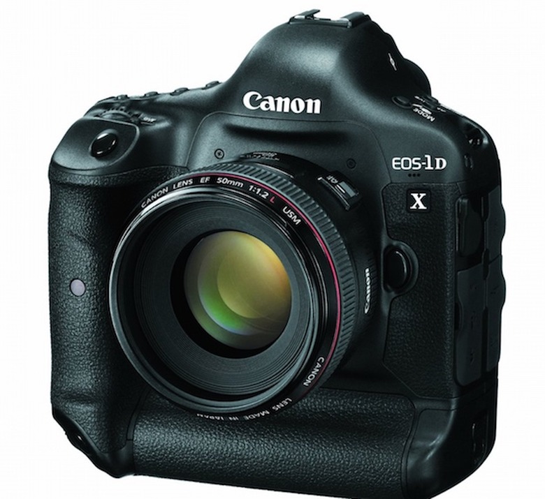 canon 1dx