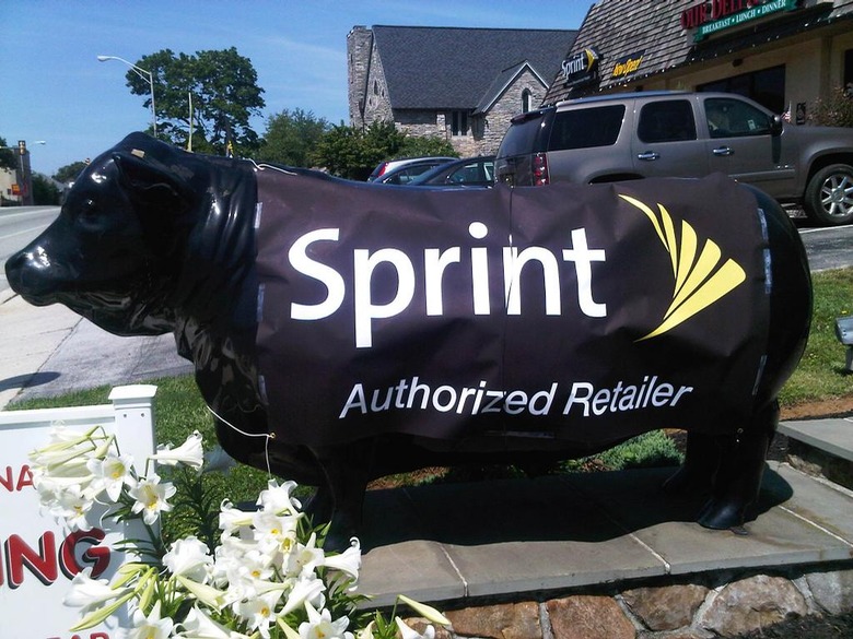 sprint-cow