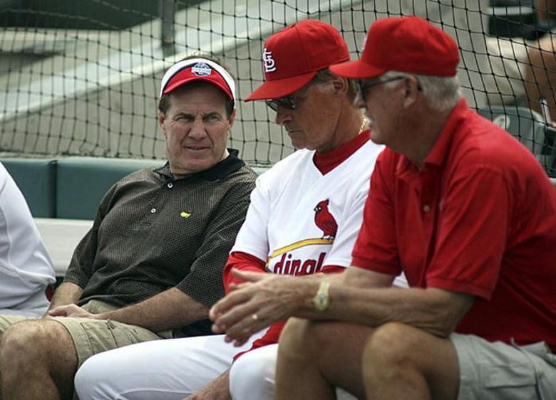 belichick-cardinals
