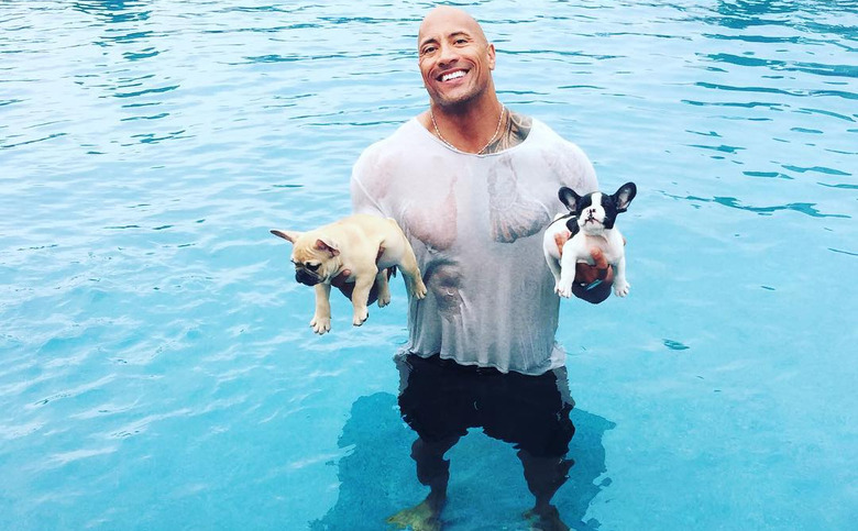 the-rock-holding-puppies