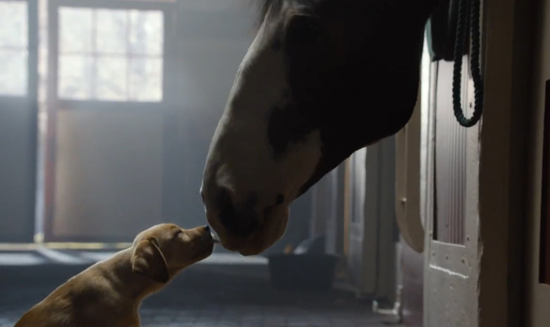 super-bowl-top-commercials-2014