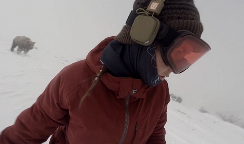 snowboard bear