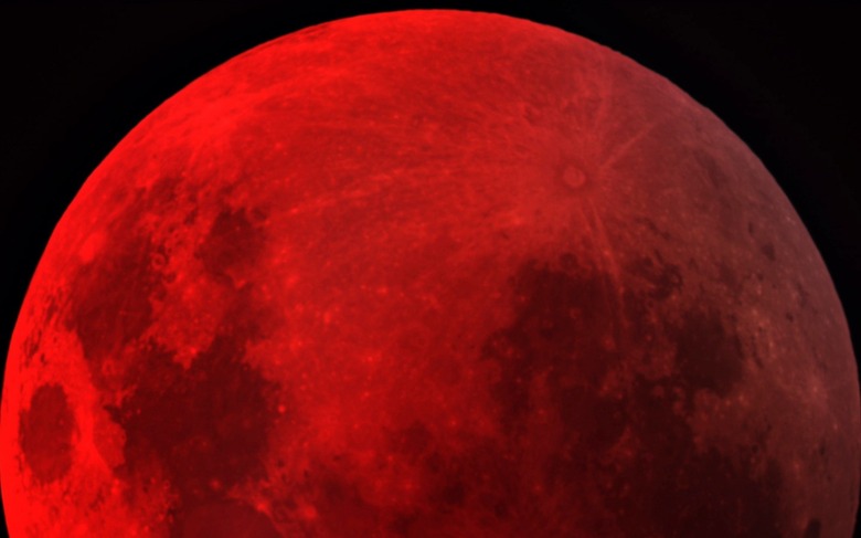 blood-mon