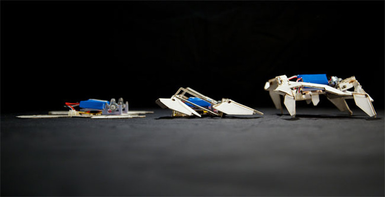 foldable-robots