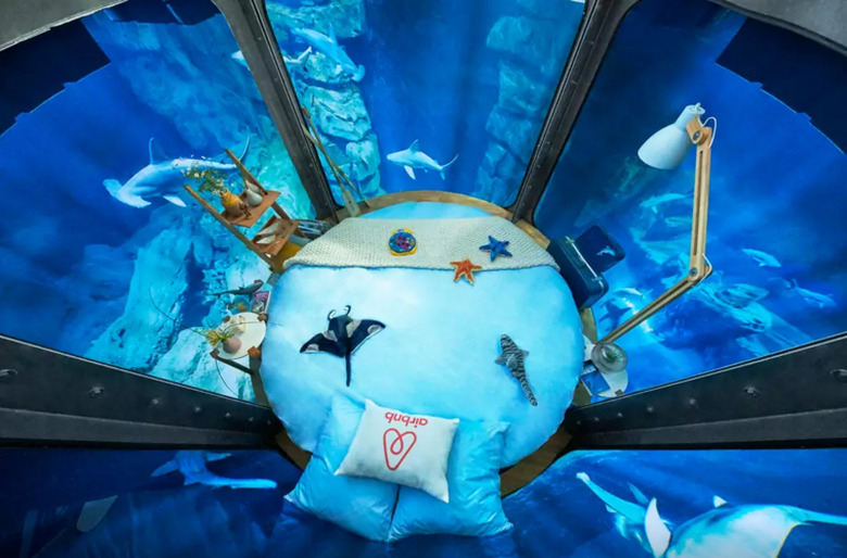 airbnb-shark-paris-aquarium-bedroom-2