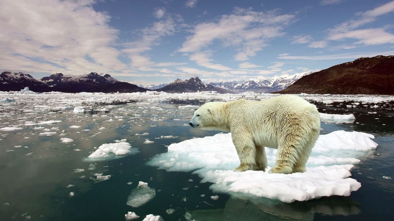 Climate Change