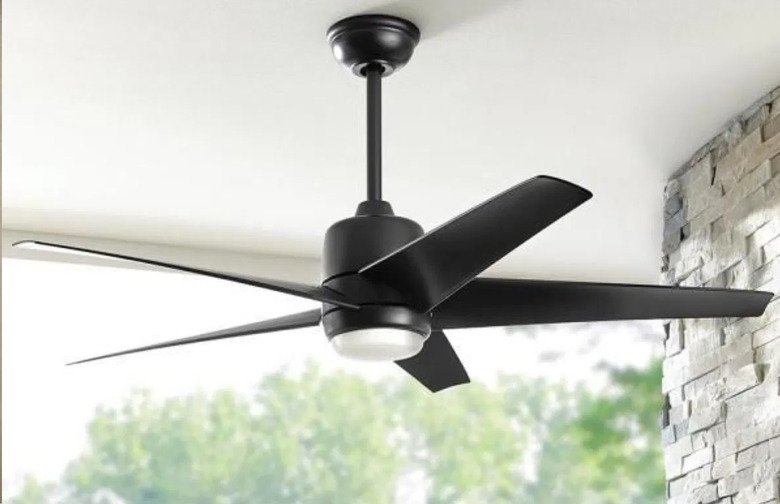 fan
