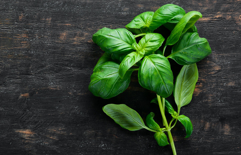basil