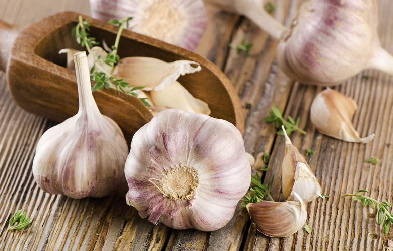 garlic