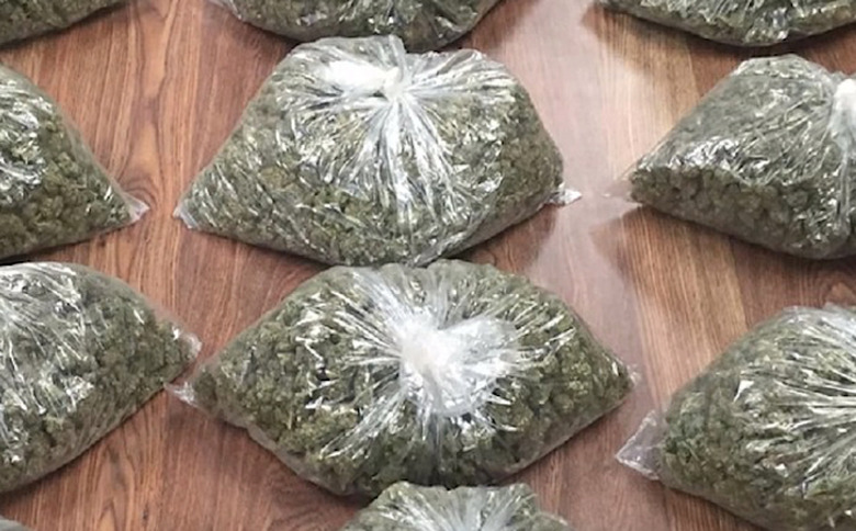 marijuana-police-capture