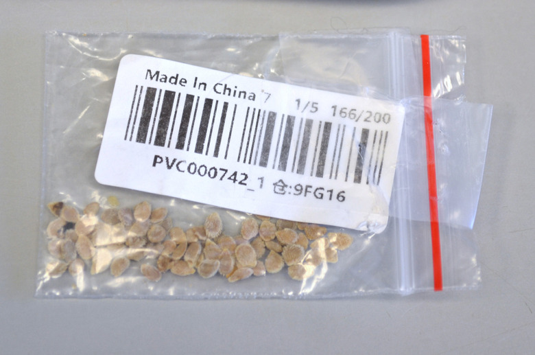 chinese seeds