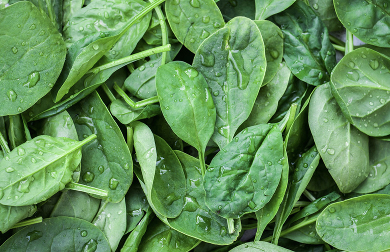 baby spinach leaves