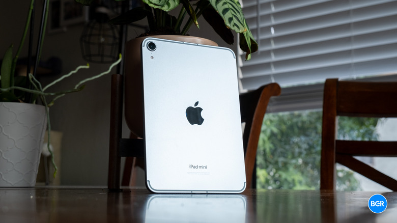 2024 iPad mini leaning on a plant.