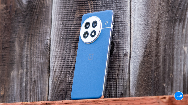 OnePlus 13 on a fence