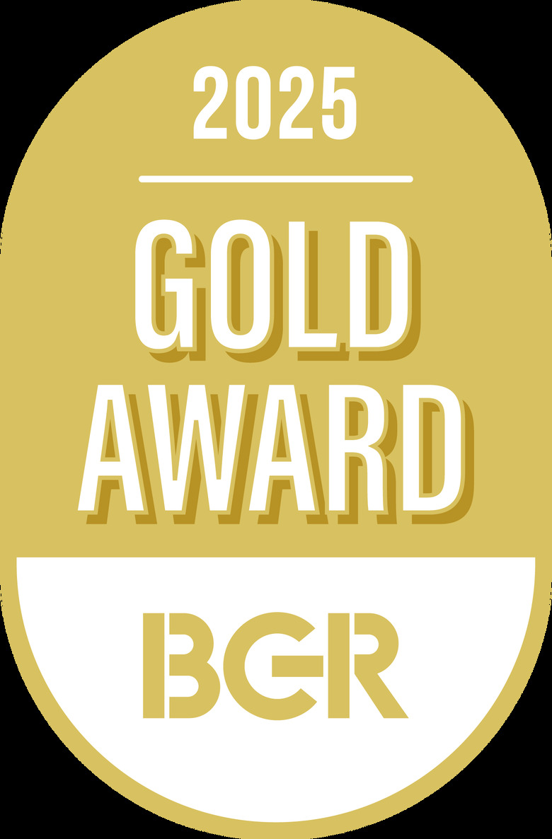 BGR Gold 2025