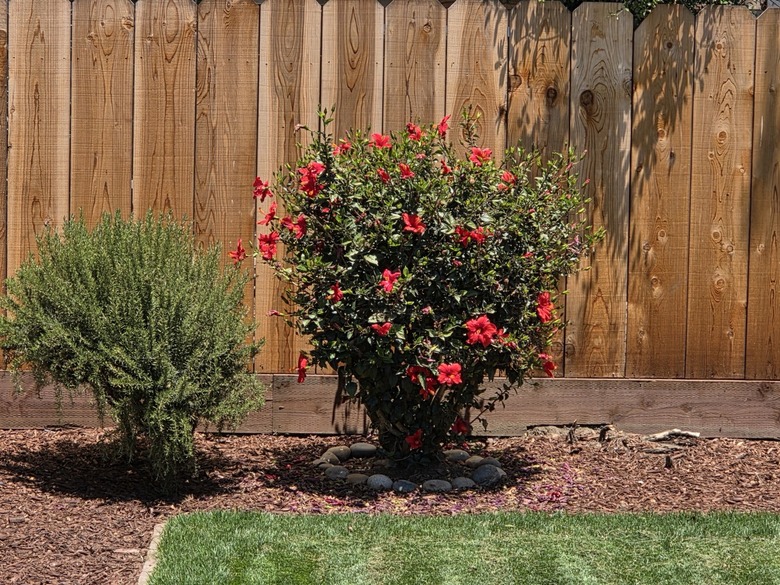 yard-5x