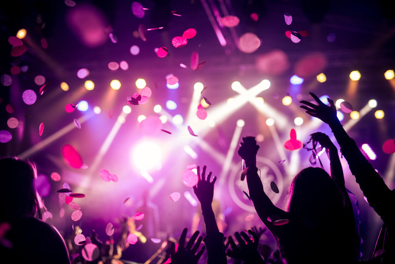 concert audience