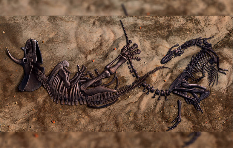 dueling dinosaurs