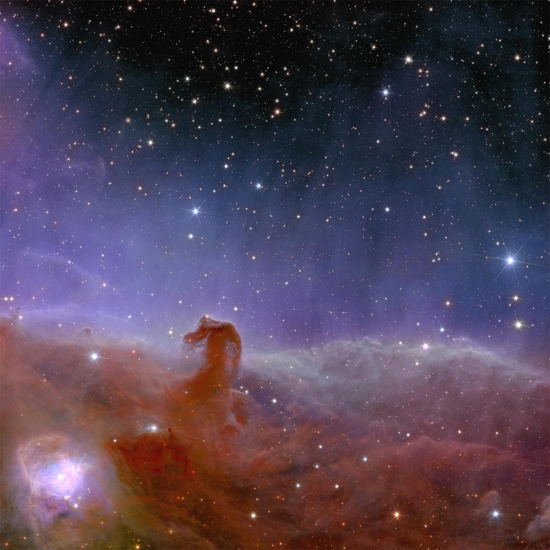 Euclid first images - horsehead nebula