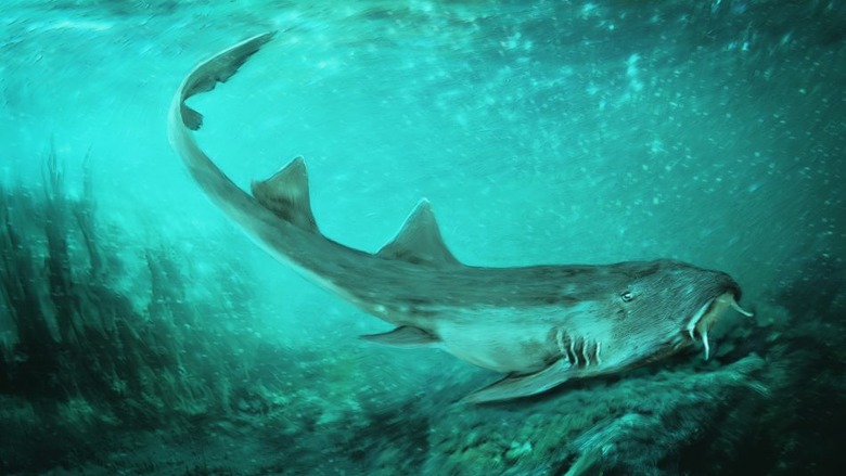 galagadon-c-velizar-simeonovski-field-museum-for-ncsu-website-cropped-950x535-1