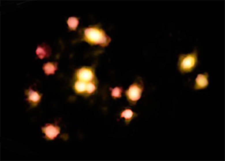 galaxiesz