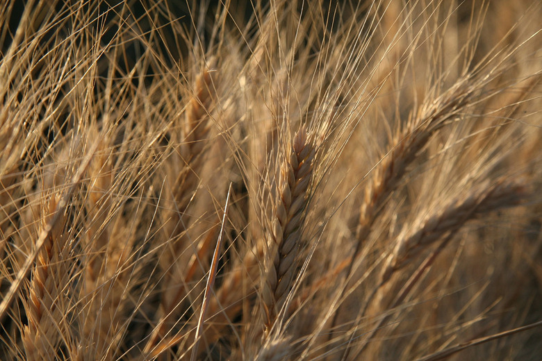 2816051311_96ee1ffe24_b