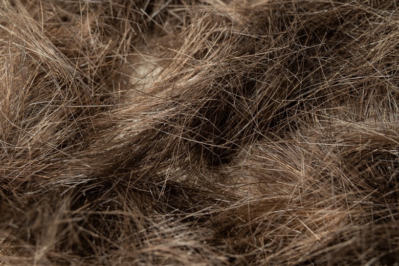 pile of human hair, closeup