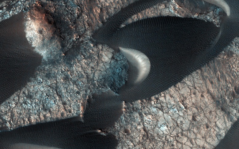 pia23056