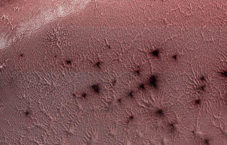 mars spiders