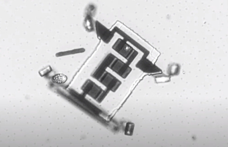 micro robot