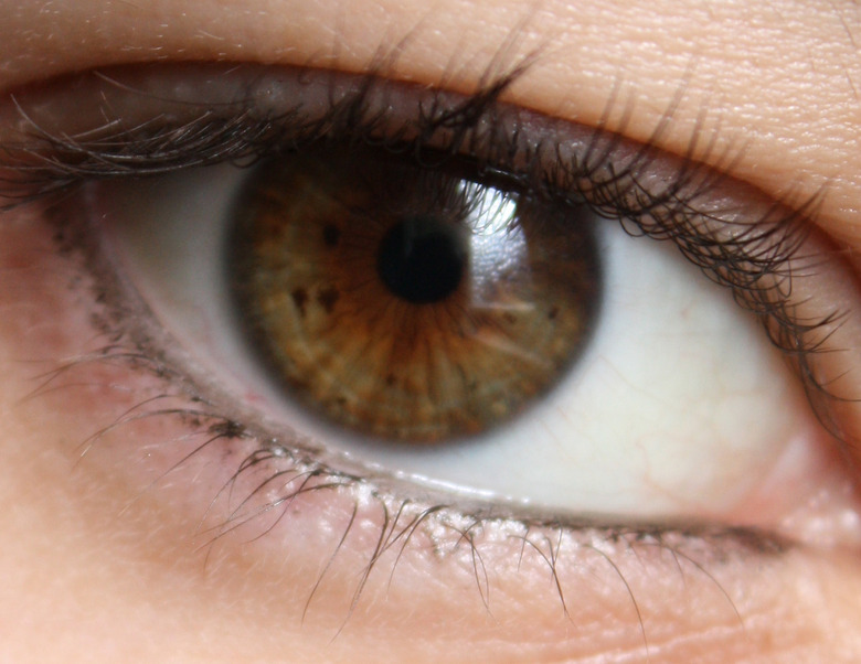 eyes