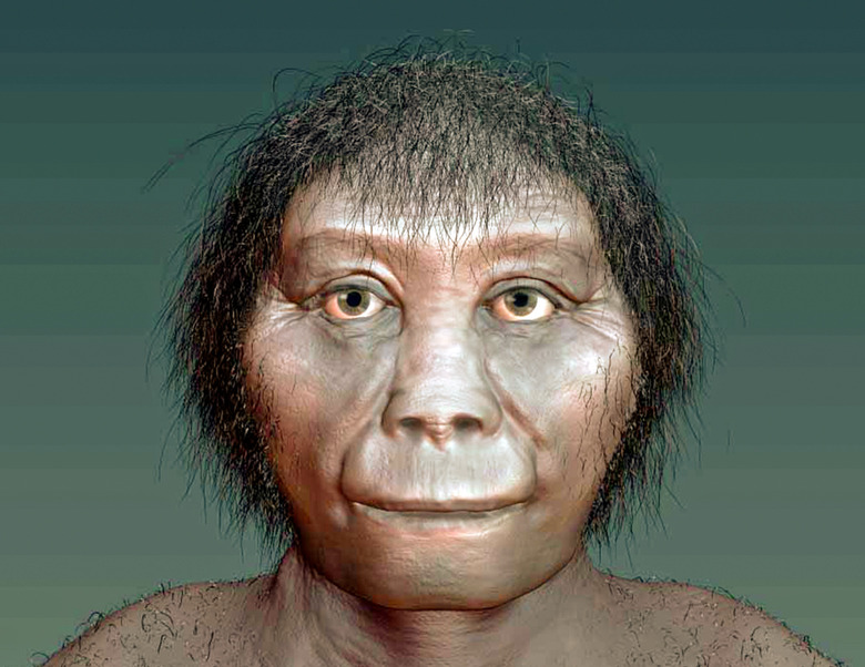 homo