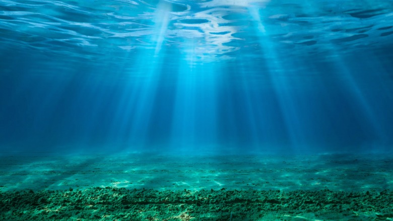 ocean with sunlight filtering through the water