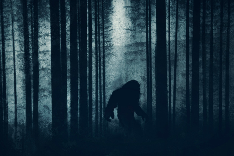 bigfoot explanation