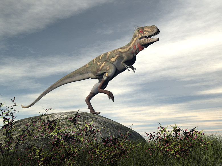 Nanotyrannus