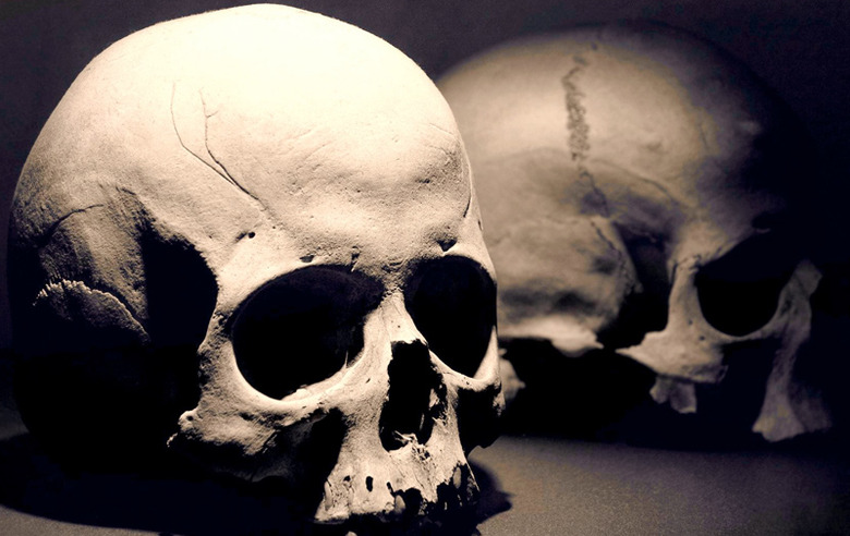 skulls