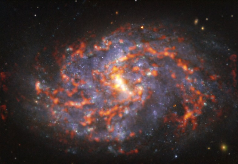 snake-like galaxy imaged by ALMA