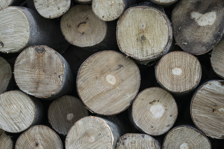 33856004116_4cab53da72_b