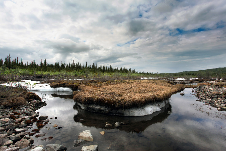 thawing permafrost in Alaska